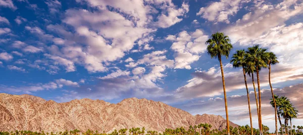Gunung San Jacinto Palm Springs California — Stok Foto