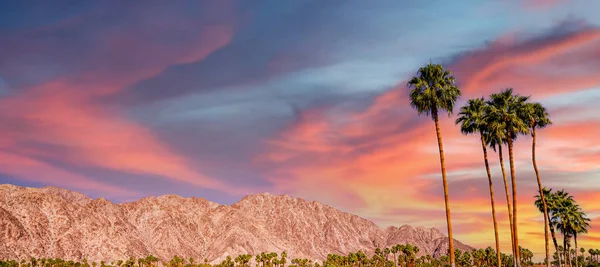 San Jacinto Dağı, Palm Springs, California