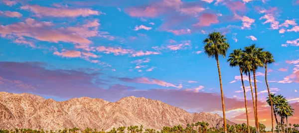 San Jacinto Berg Palmveren Californië — Stockfoto