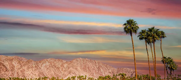 San Jacinto Montagne Sources Palmiers Californie — Photo