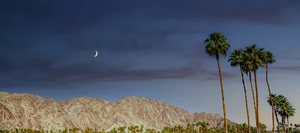 San Jacinto Mountain Palmquellen Kalifornien — Stockfoto