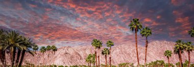San Jacinto Dağı, Palm Springs, California