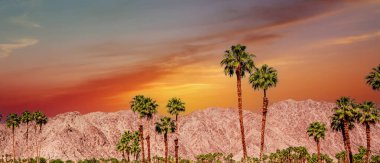 San Jacinto Dağı, Palm Springs, California