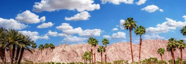 San Jacinto Dağı, Palm Springs, California
