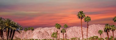 San Jacinto Dağı, Palm Springs, California