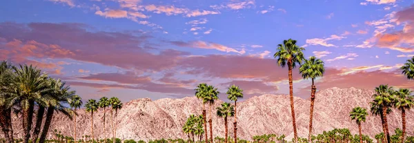 San Jacinto Berg Palmveren Californië — Stockfoto