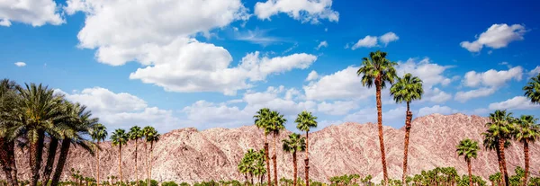 San Jacinto Berg Palmveren Californië — Stockfoto