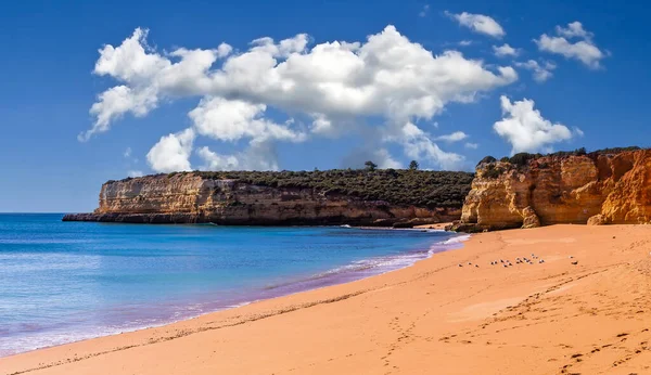 Plaj Sinyora Rocha Nın Kayalıkları Lagoa Algarve Portekiz — Stok fotoğraf