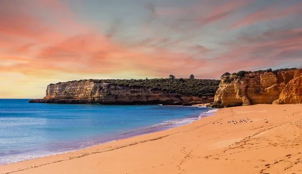 Plaj Sinyora Rocha Nın Kayalıkları Lagoa Algarve Portekiz — Stok fotoğraf