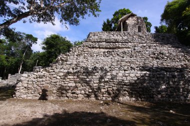 COBA, YUCATAN, MEXICO, 12 ARALIK 2011: Coba anıtındaki piramit tapınağı