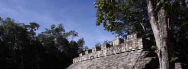 COBA, YUCATAN, MEXICO, 12 ARALIK 2011: Coba anıtındaki piramit tapınağı