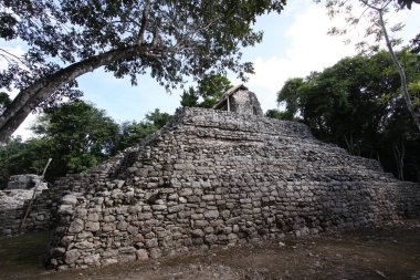 COBA, YUCATAN, MEXICO, 12 ARALIK 2011: Coba anıtındaki piramit tapınağı