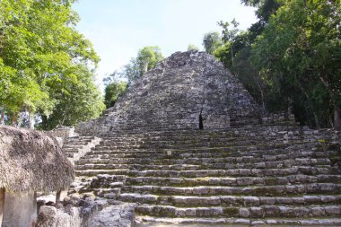 COBA, YUCATAN, MEXICO, 12 ARALIK 2011: Coba anıtındaki piramit tapınağı