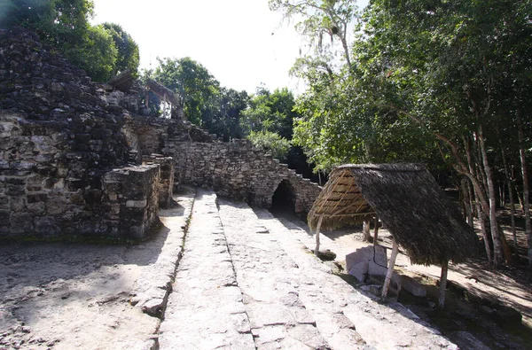 Coba Yucatan Mexico December 2011 Piramis Templom Koba Műemlék Romok — Stock Fotó