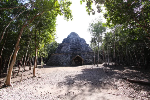 Coba Yucatán México Diciembre 2011 Templo Piramidal Las Ruinas Del —  Fotos de Stock
