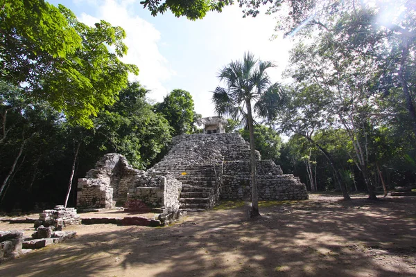 Coba Yucatan Mexico Prosinec 2011 Pyramidový Chrám Kobově Památkové Zřícenině — Stock fotografie