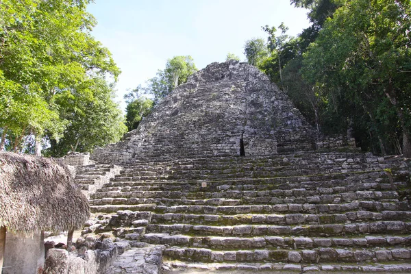 Coba Yucatan Mexico Prosinec 2011 Pyramidový Chrám Kobově Památkové Zřícenině — Stock fotografie