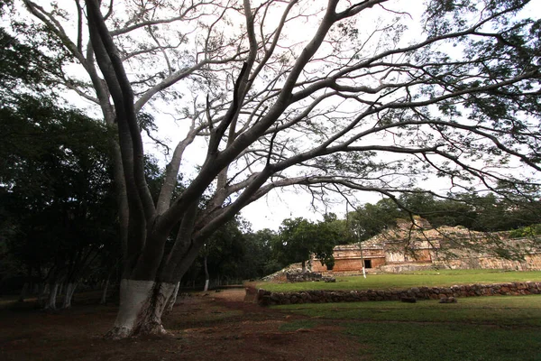 Sayil Yucatan Mexico Aralik 2011 Sayil Deki Maya Tapınağının Kalıntıları — Stok fotoğraf