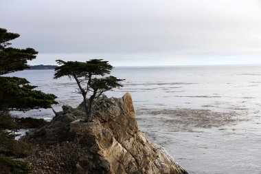 Pebble Beach golf sahası, Monterey, Kaliforniya, ABD