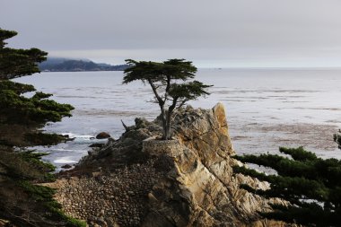 Pebble Beach golf sahası, Monterey, Kaliforniya, ABD
