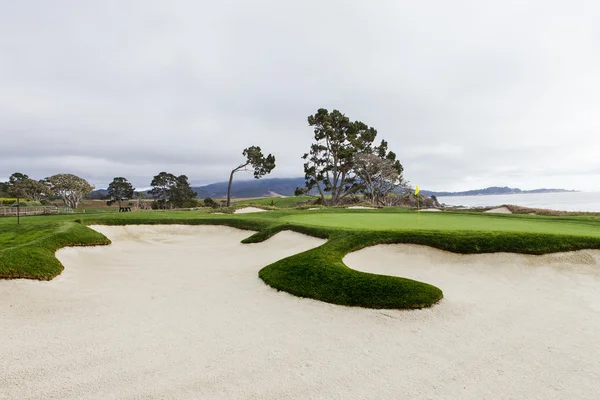 Pebble Beach golf sahası, Monterey, Kaliforniya, ABD