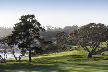 Pebble Beach golf sahası, Monterey, Kaliforniya, ABD
