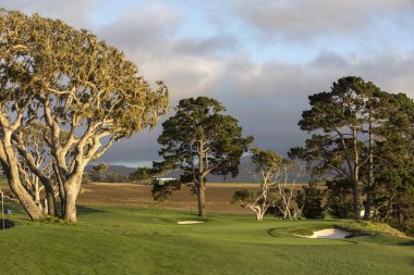 Pebble Beach golf sahası, Monterey, Kaliforniya, ABD