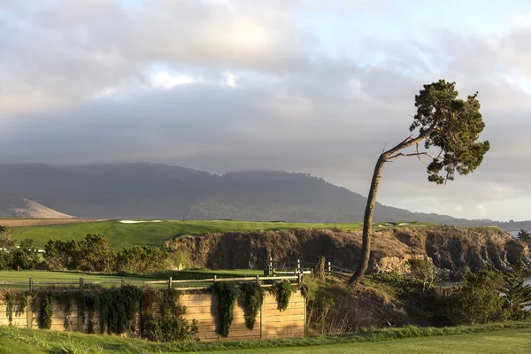 Pebble Beach golf course, Monterey, California, USA — Stock Photo, Image