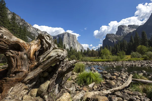 Muro de escalada mundialmente famoso de El Capitán, Yosemite — Foto de Stock