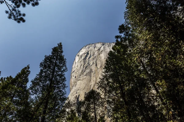 El Capitan, Yosemite Milli Parkı, California, ABD — Stok fotoğraf