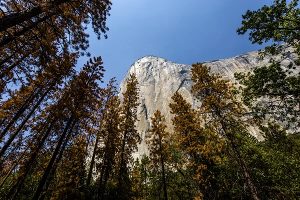 El Capitan, Yosemite national park, California, Stany Zjednoczone Ameryki — Zdjęcie stockowe