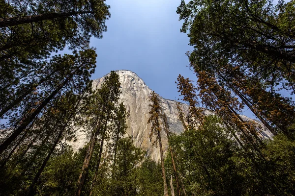 El Capitan, parc national de Yosemite, Californie, États-Unis — Photo