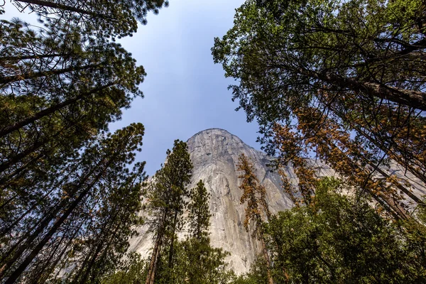El Capitan, Yosemite national park, California, Stany Zjednoczone Ameryki — Zdjęcie stockowe