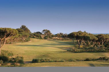 Fairway ve yeşil, bir golf sahası