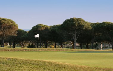 Fairway ve yeşil, bir golf sahası
