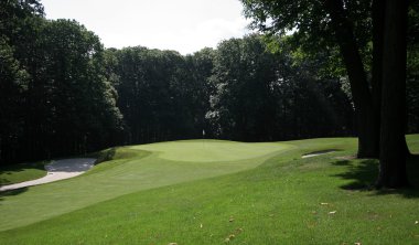 yeşil ve fairway bir golf sahası üzerinde