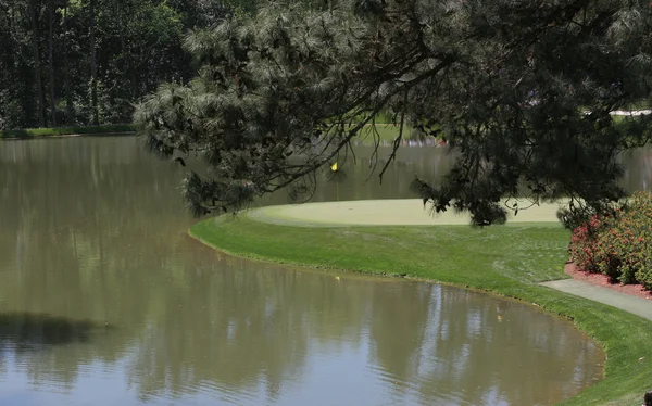 Green and fairway on a golf cours — Stock Photo, Image