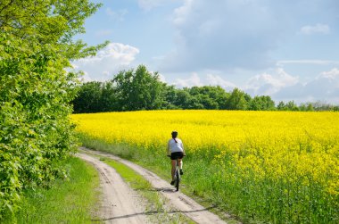 Sarı kolza tohumu alan ve eski toprak yol üzerinde mavi gökyüzü altında bir bisikletçi sürmek. Brassica napus. Trakhtemyriv, Ukrayna