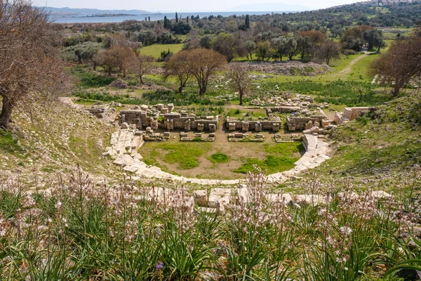 Seferihisar, İzmir, Türkiye - 03.08.2021: Yunan döneminden kalma Akropolis yamaçlarına ayak basan antik tarihi Teos tiyatrosunun yüksek açılı görünümü