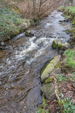 Tuzlu su Park akarsu 2