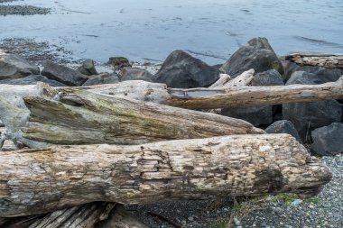 Günlükleri ve kayalar