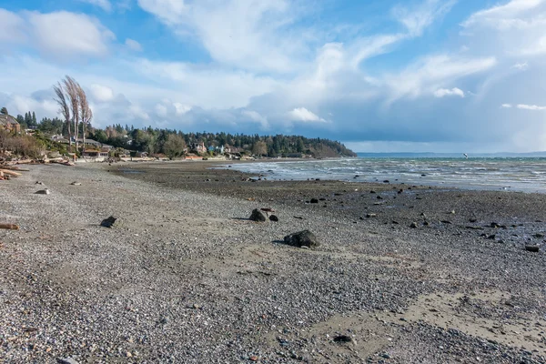Blåsigt strandlinjen landskap — Stockfoto