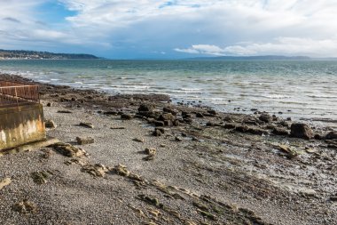 Düşük Tide kıyı