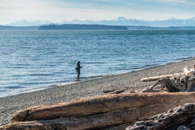 Balıkçılık At Lincoln Park 2