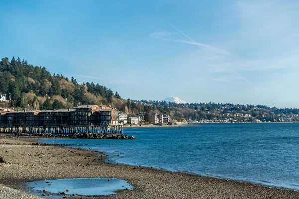 Shoreline e Monte Rainier — Fotografia de Stock