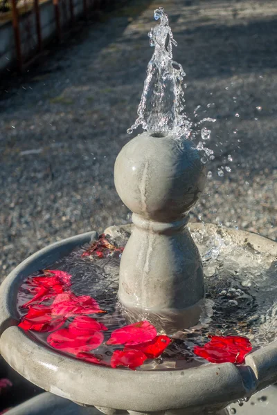 Fuente con pétalos rojos — Foto de Stock