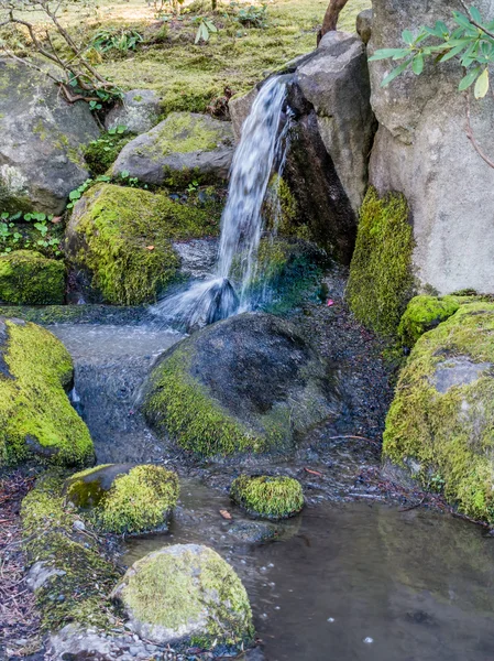 Petite cascade fraîche — Photo