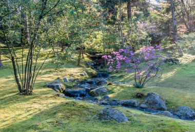 Akış ve çiçekler