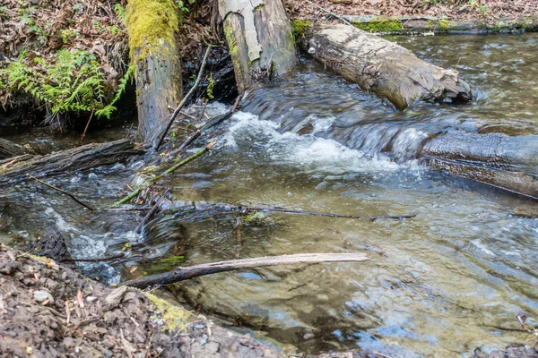 Крупним планом тире точки потік 2 — стокове фото