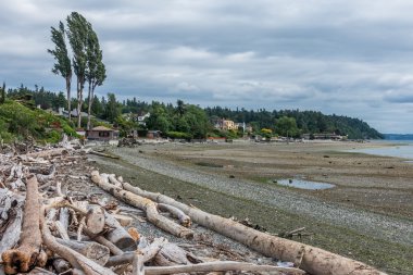 Normandy Park düşük Tide